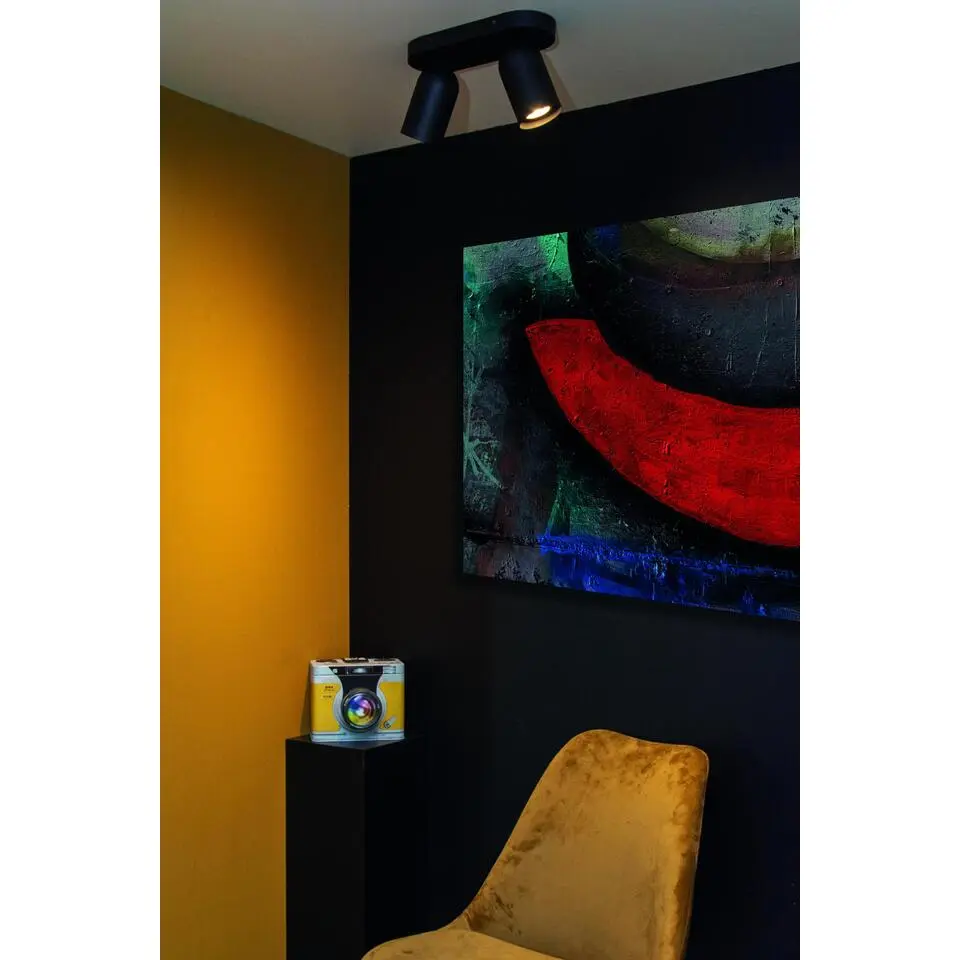 Lucide PUNCH Plafondspot - Zwart