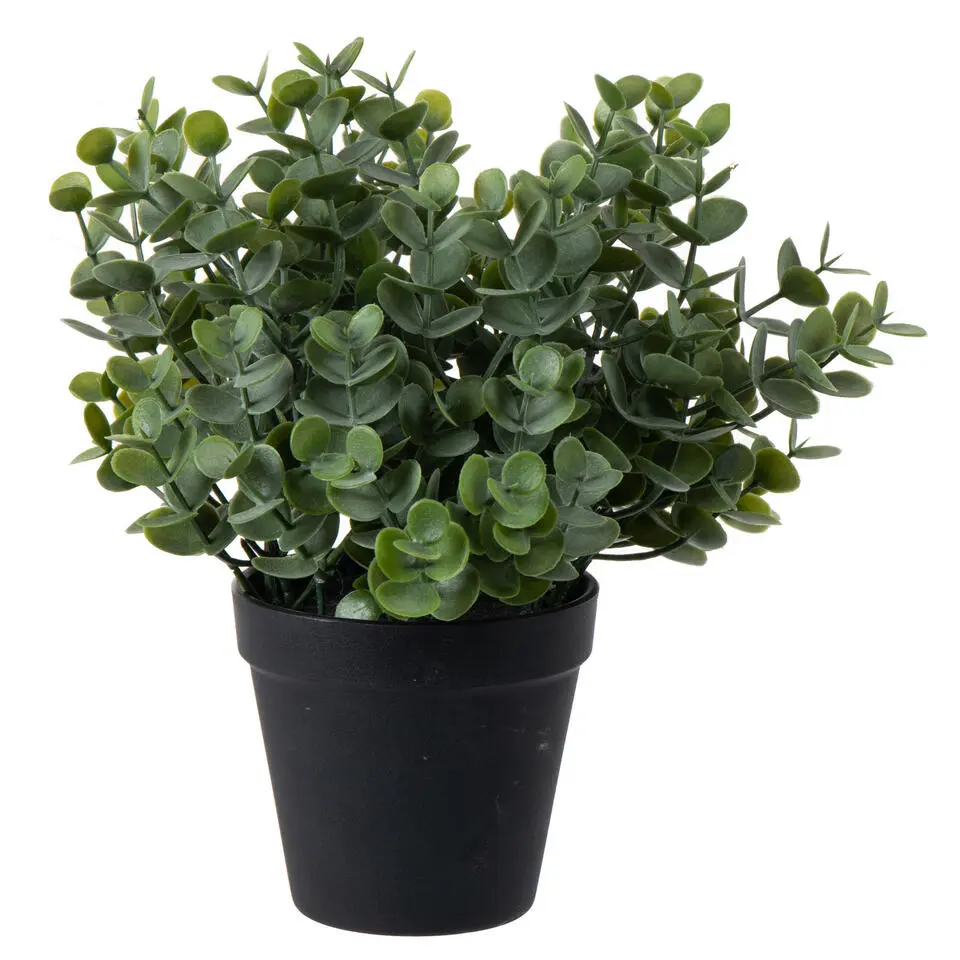Louis Maes Eucalyptus Kunstplant - in pot - groen - H28 cm