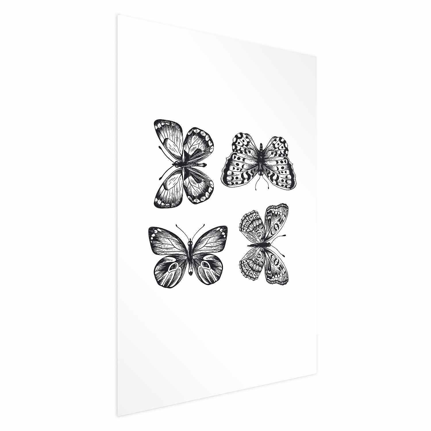 Plakat Cztery motyle 21x30 cm