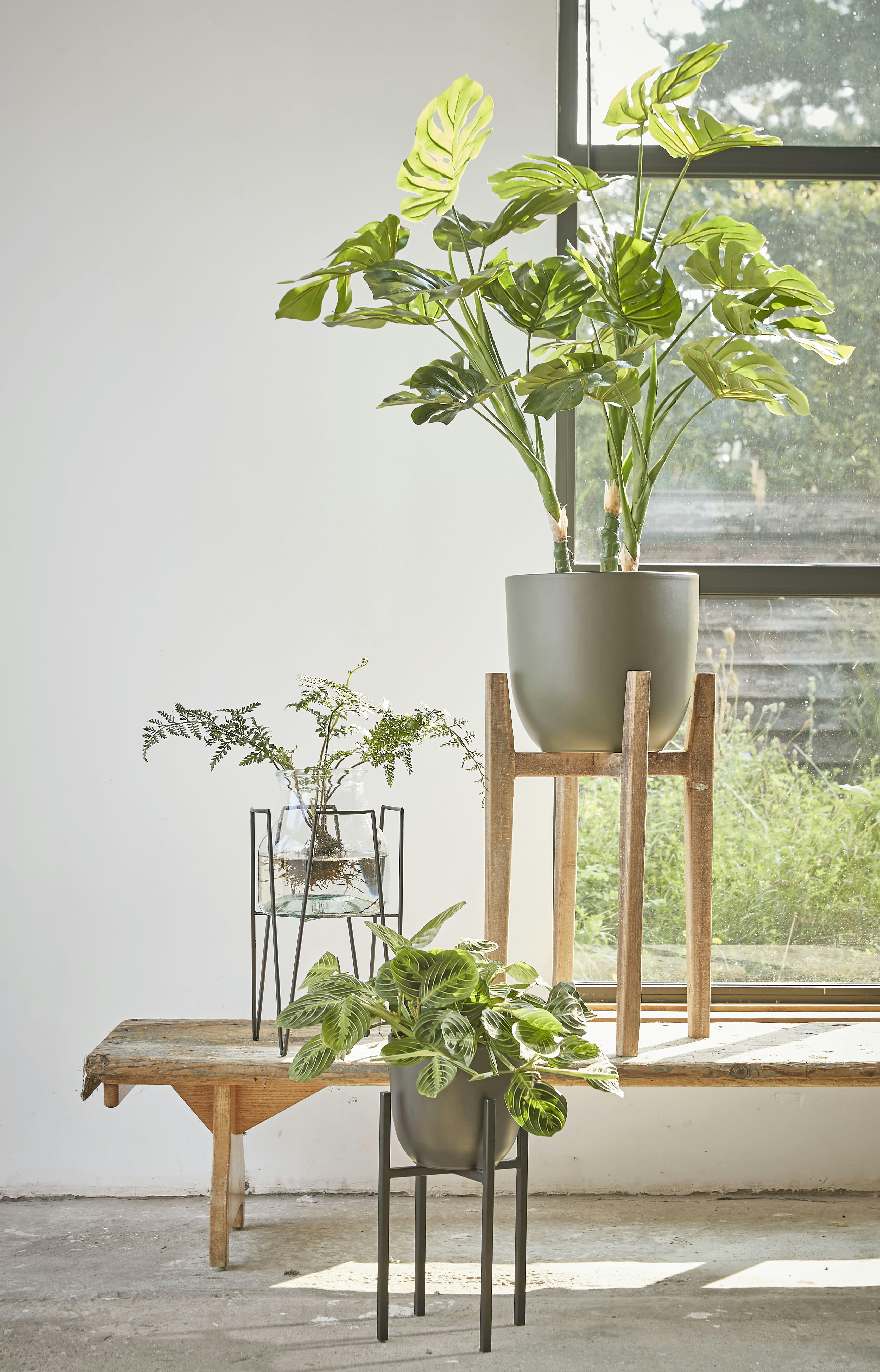 BLOM - Porte-plante en métal noir H50