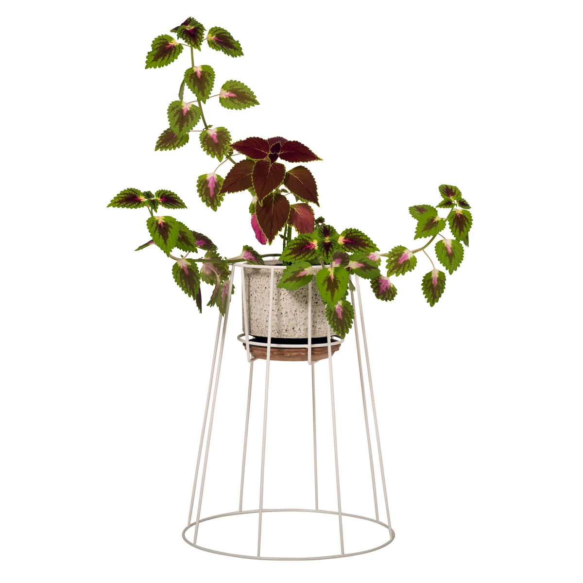OK Design - Cibele Blumentopfständer H 30 cm, schwarz