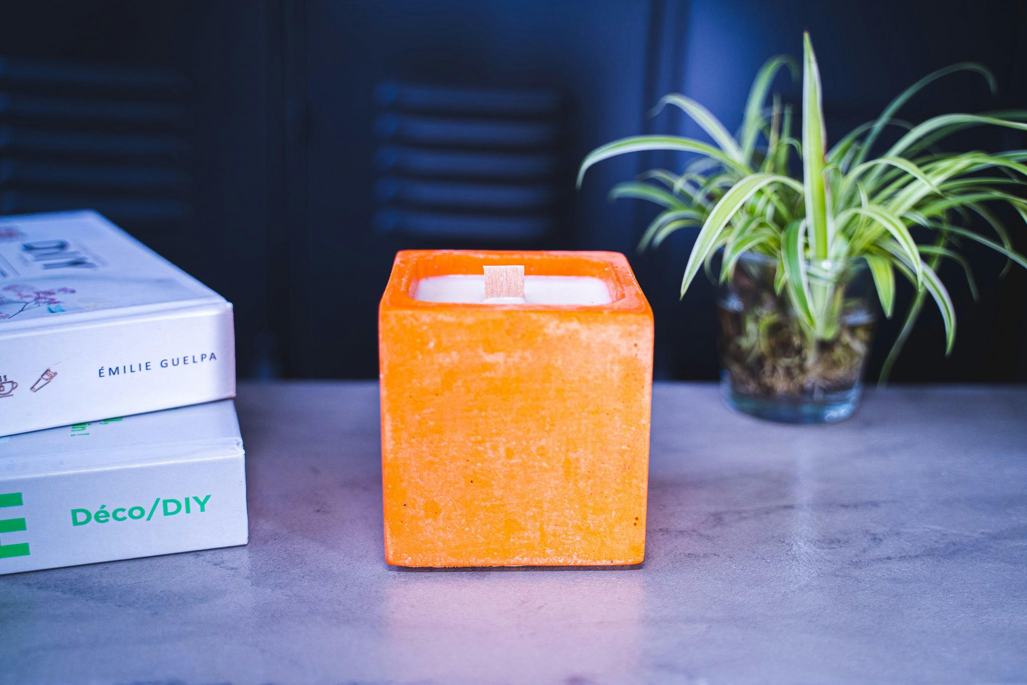 ORANGER - Bougie en béton coloré orange fleur oranger