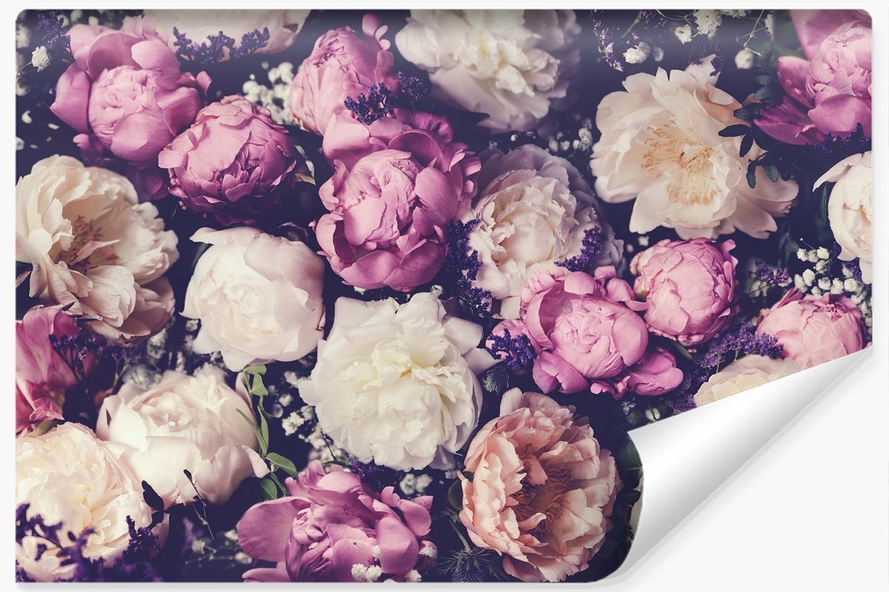 Fototapeta VINTAGE Piwonie do Sypialni 3D 90x60cm