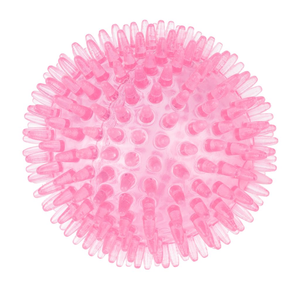 TIAKI Spiky Ball Dog Toy