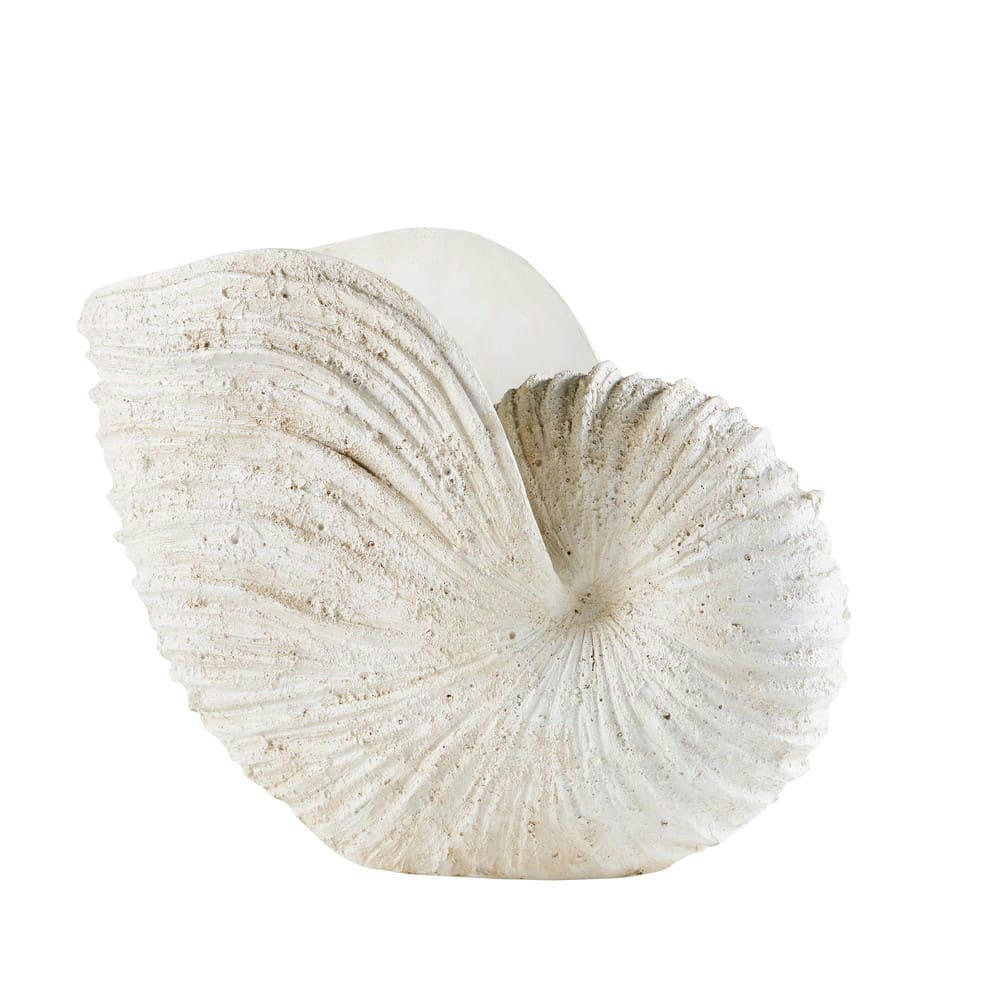 Ammonite - Statue fossile crème L50