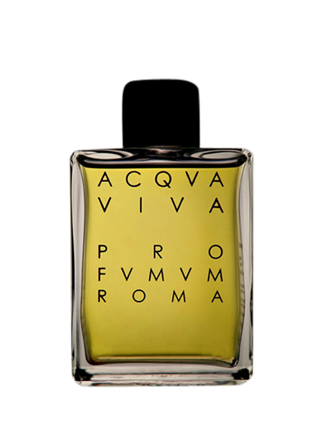 PROFVMVM ROMA ACQVA VIVA