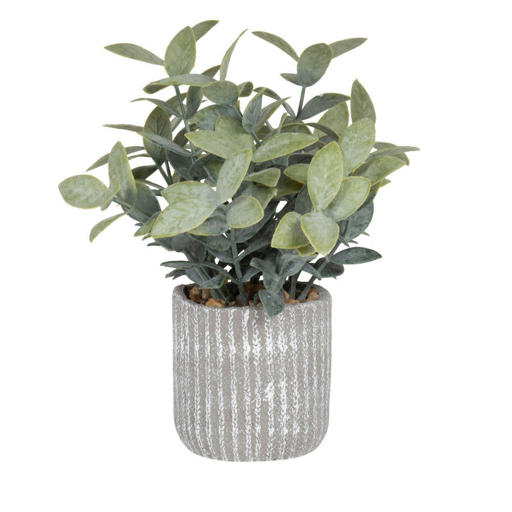 JACQUES - Succulente artificielle et pot noir