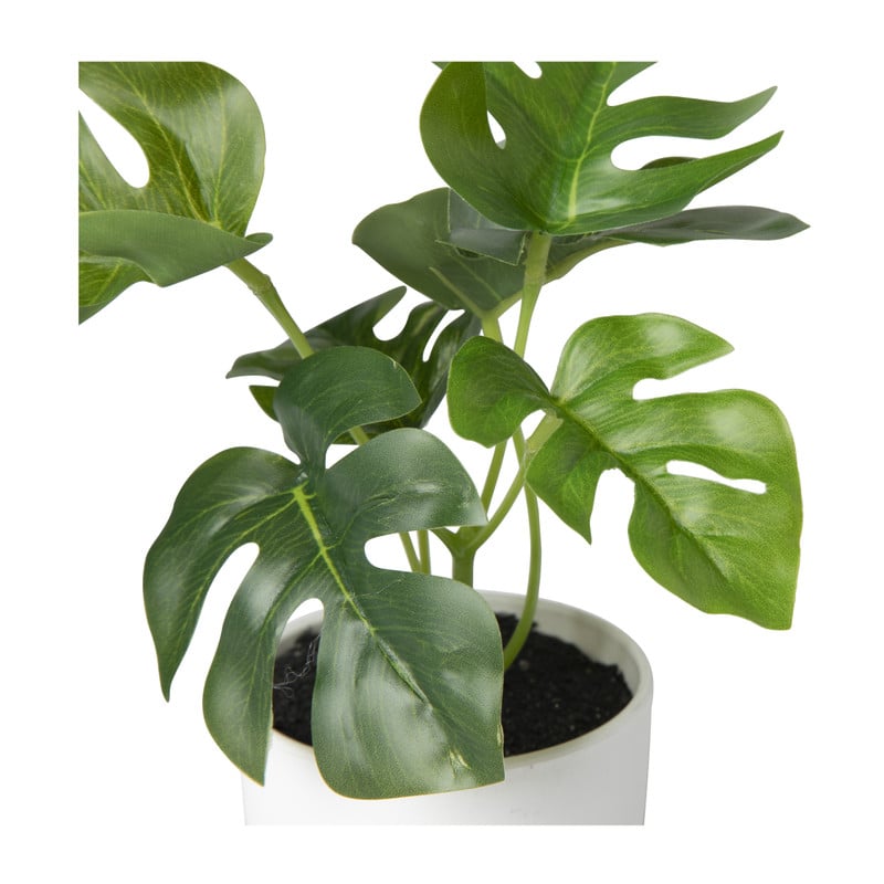 Kunstplant monstera - 16 cm