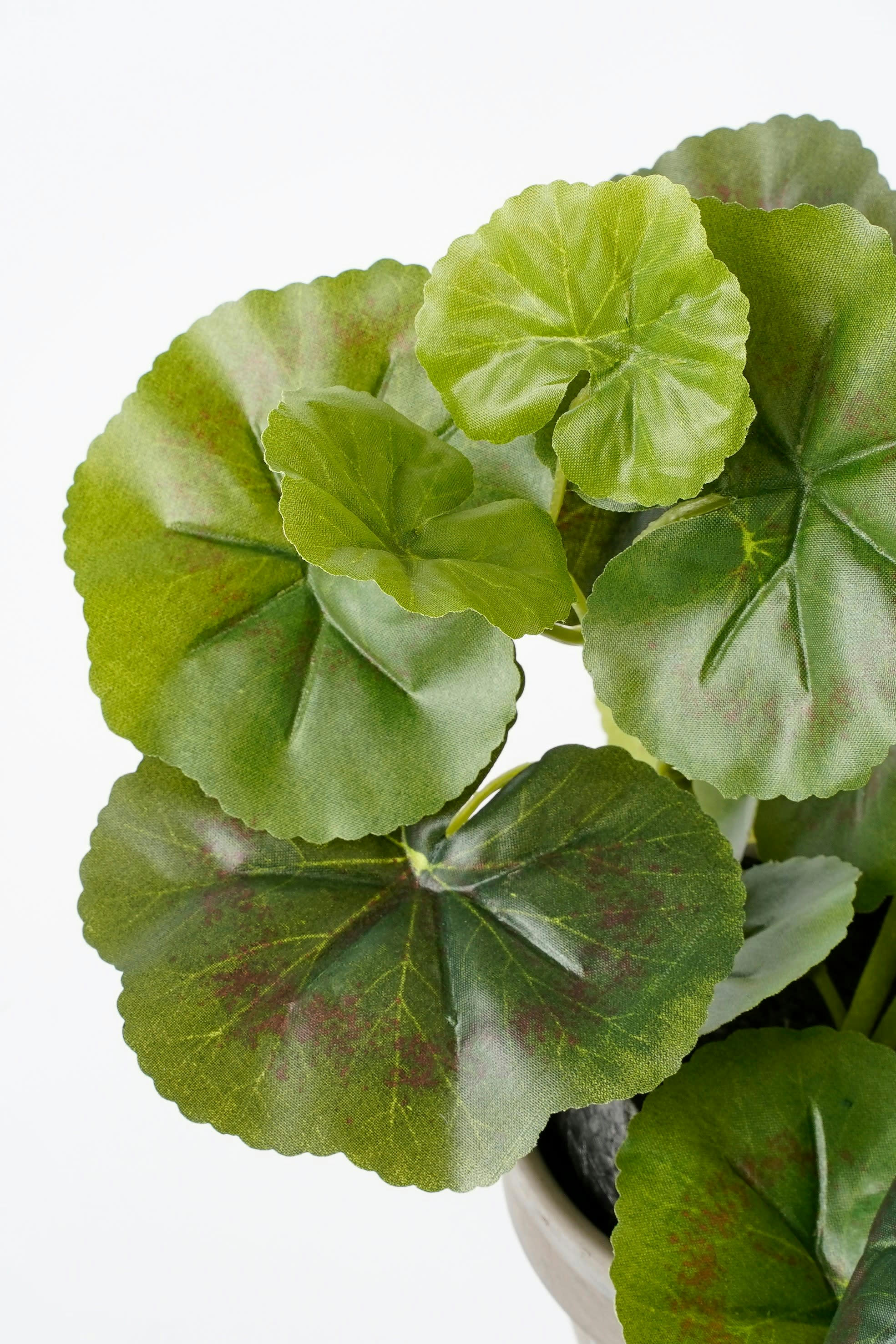 - Géranium artificielle blanc et rose en pot H34