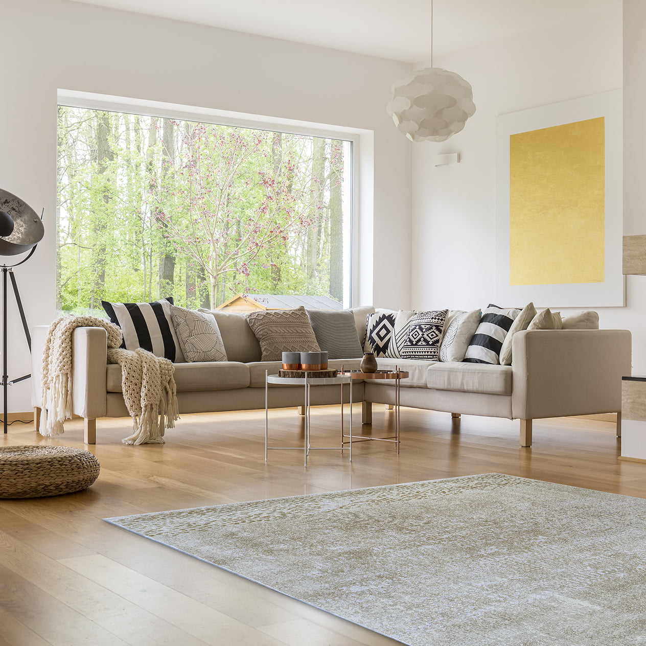 Acsento Jura 12 Vloerkleed 240 x 340 cm