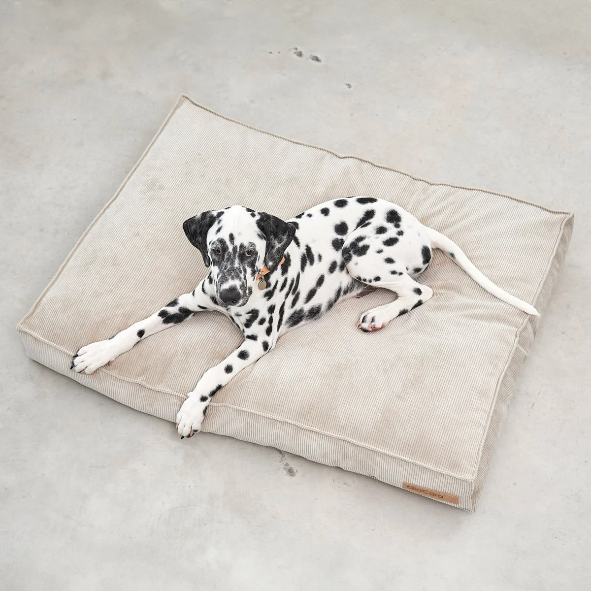 MiaCara - Cordo Hundekissen