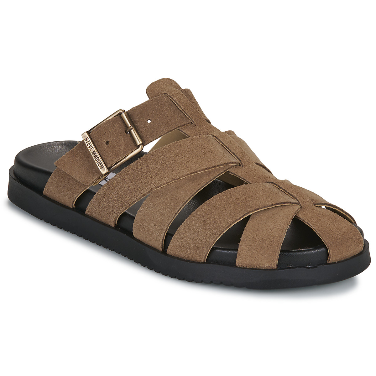 Steve Madden - MAMBA - Taupe