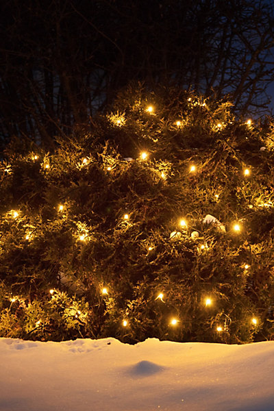 Guirlande Lumineuse LED Extérieure, 100 x LED, 9,2W, 1,7 x 2 m, IP44 - Markslöjd - Chrissline