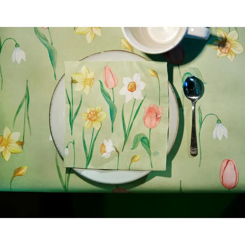 Serviette 50er-Set Spring Melody