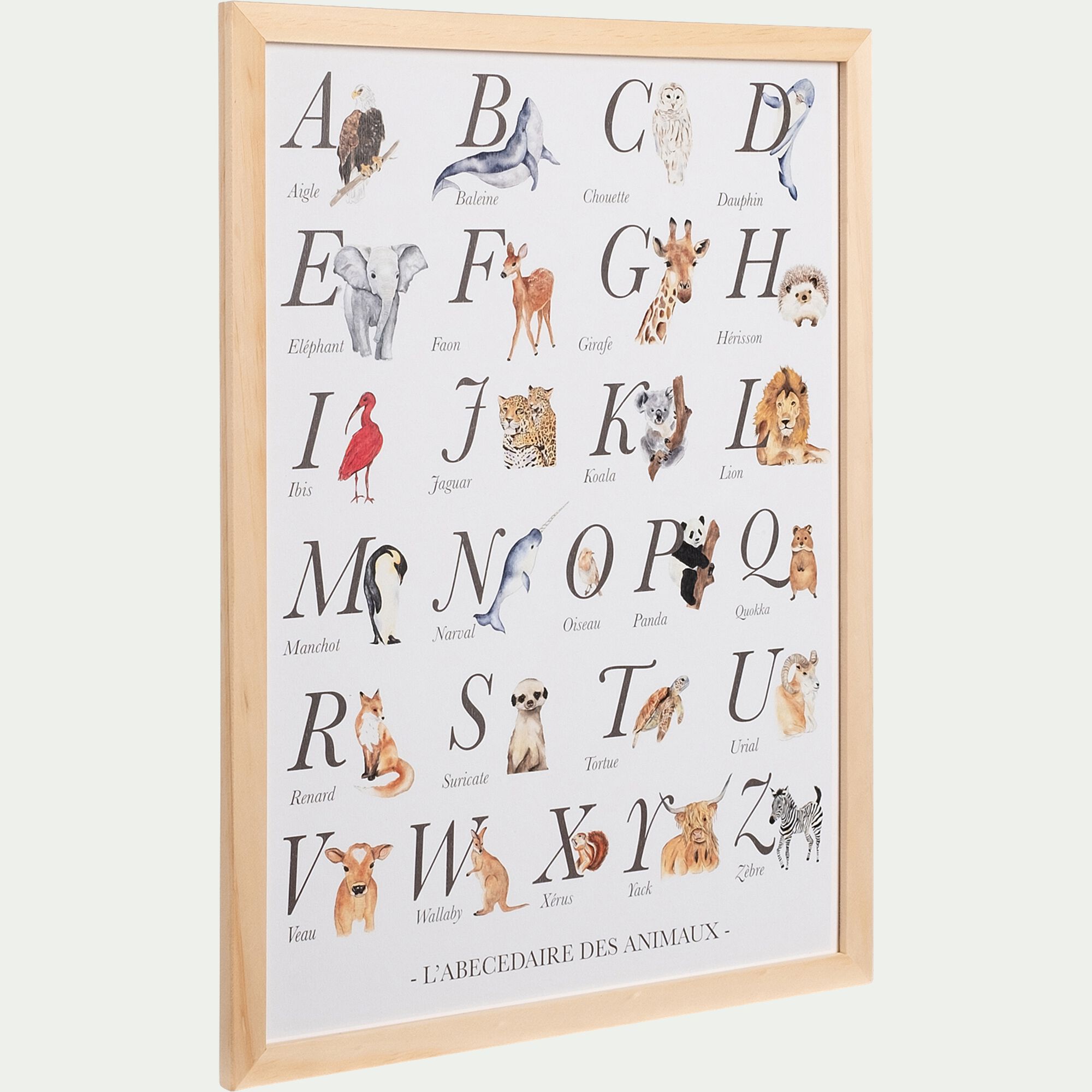 ABC - Abécédaire illustré et encadré A3