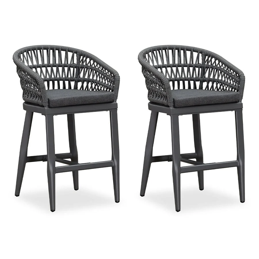 PURPLE LEAF Outdoor Dining Chairs Set of 2 Patio Bar Stools