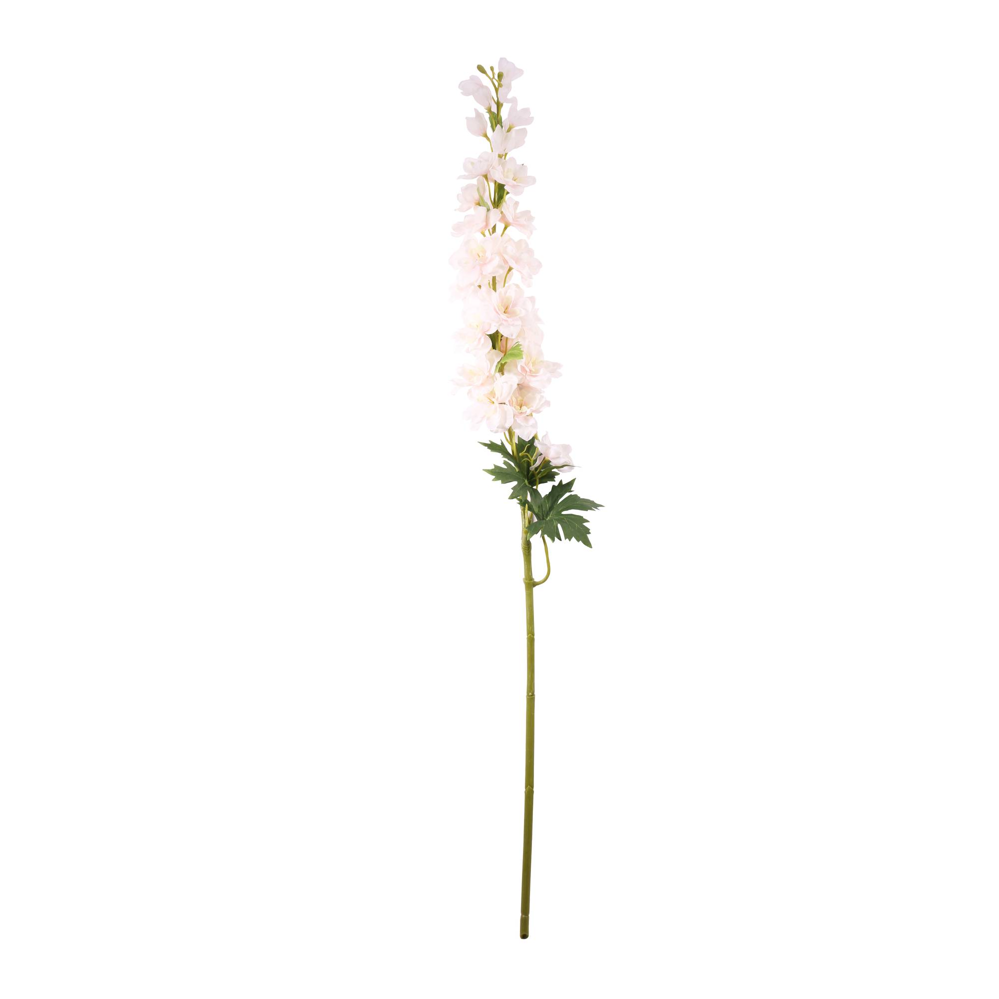Light Pink Cottage Garden Delphinium 100cm x 20cm