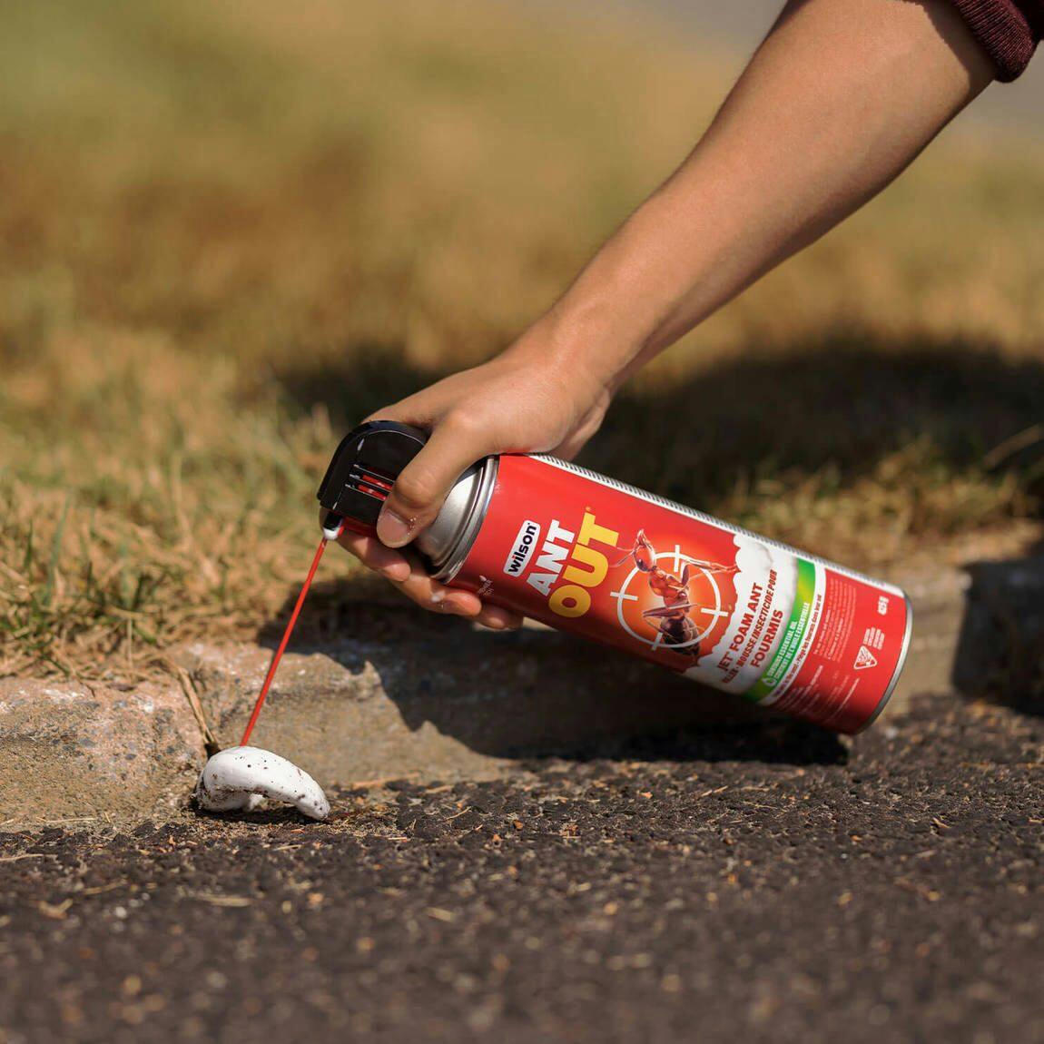 Wilson AntOut Jet Foam Ant Killer, Insecticide, Aerosol Spray, 425-g
