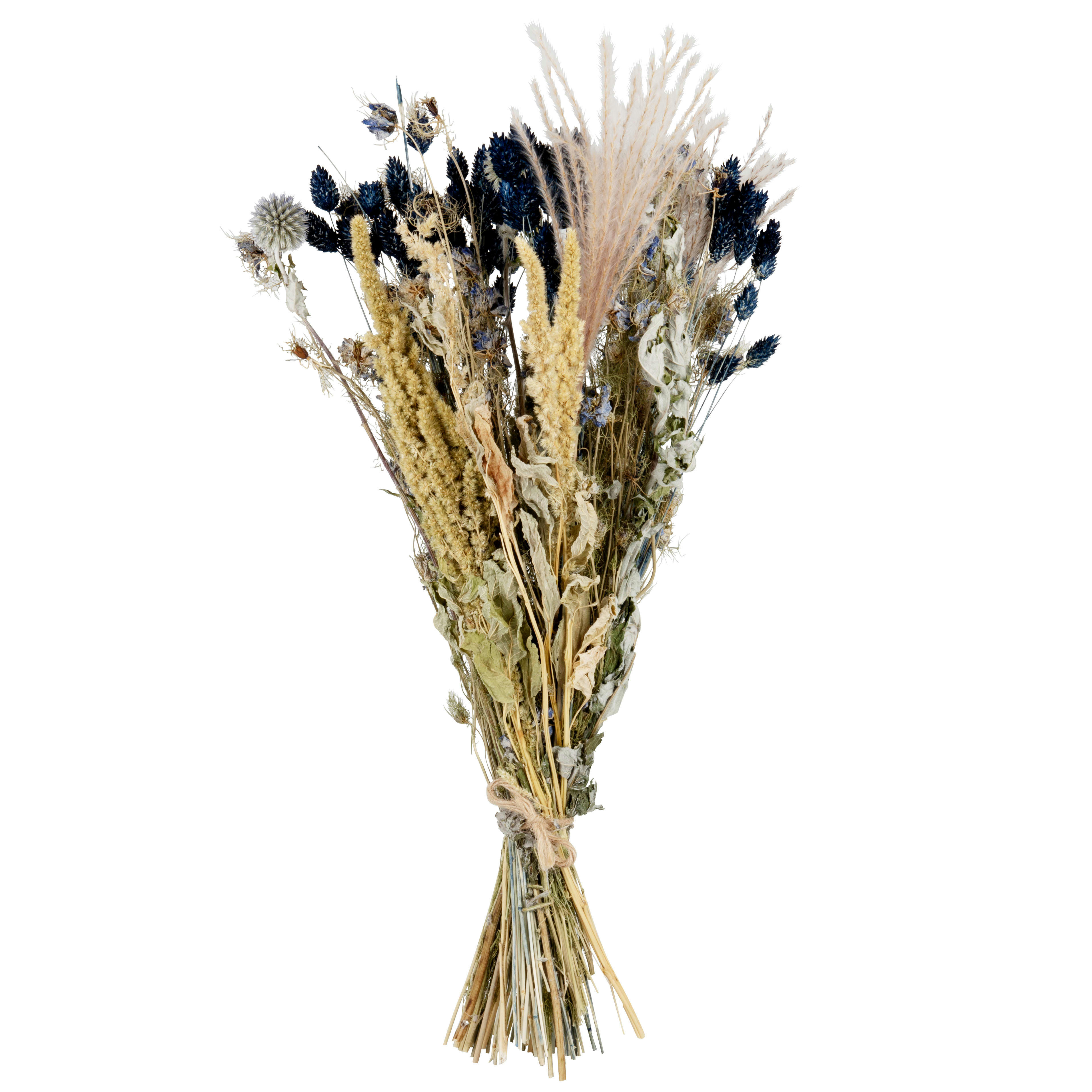 ABELLE - Bouquet de fleurs séchées multicolores