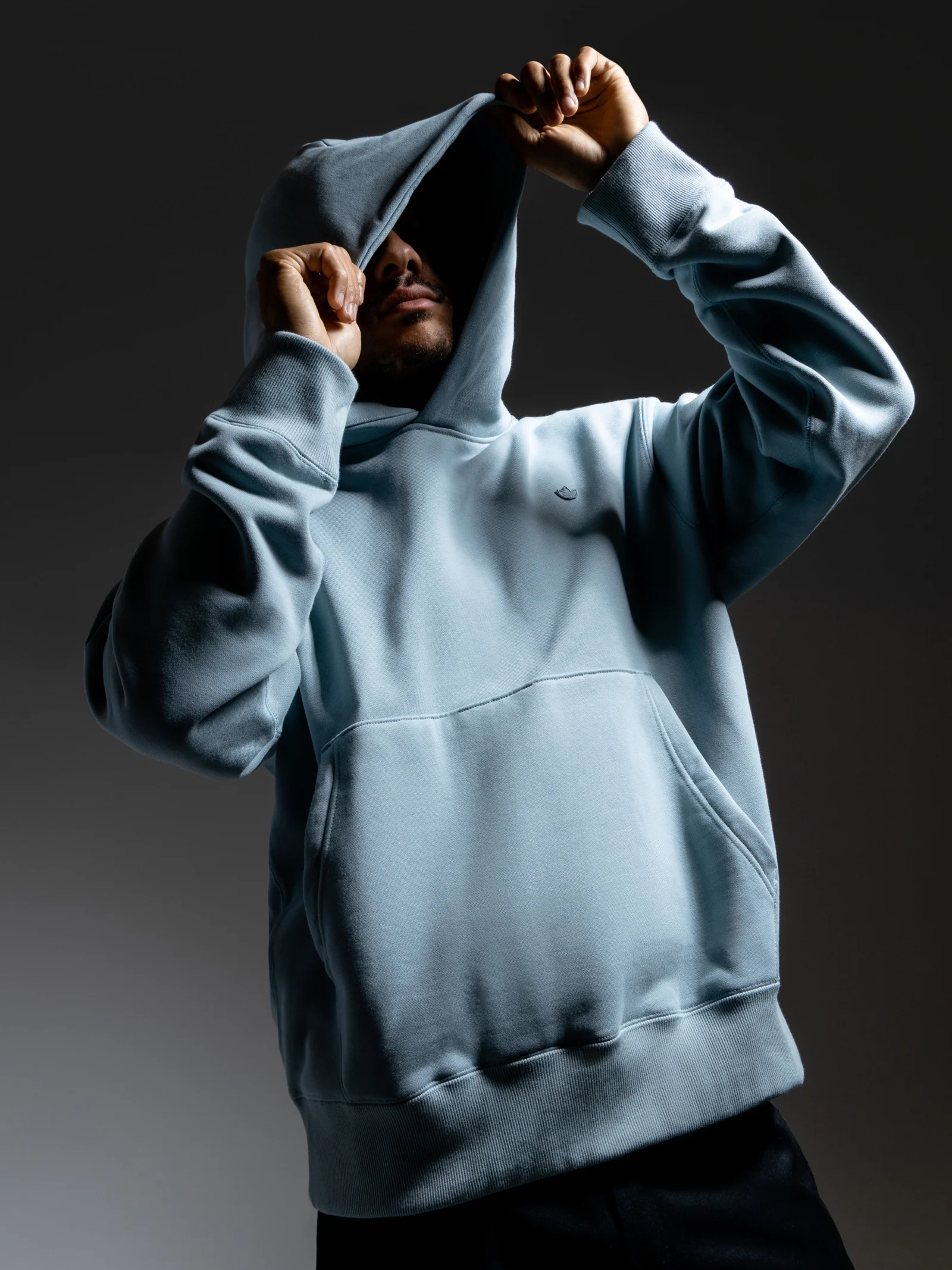 Adicolor Trefoil Hoodie