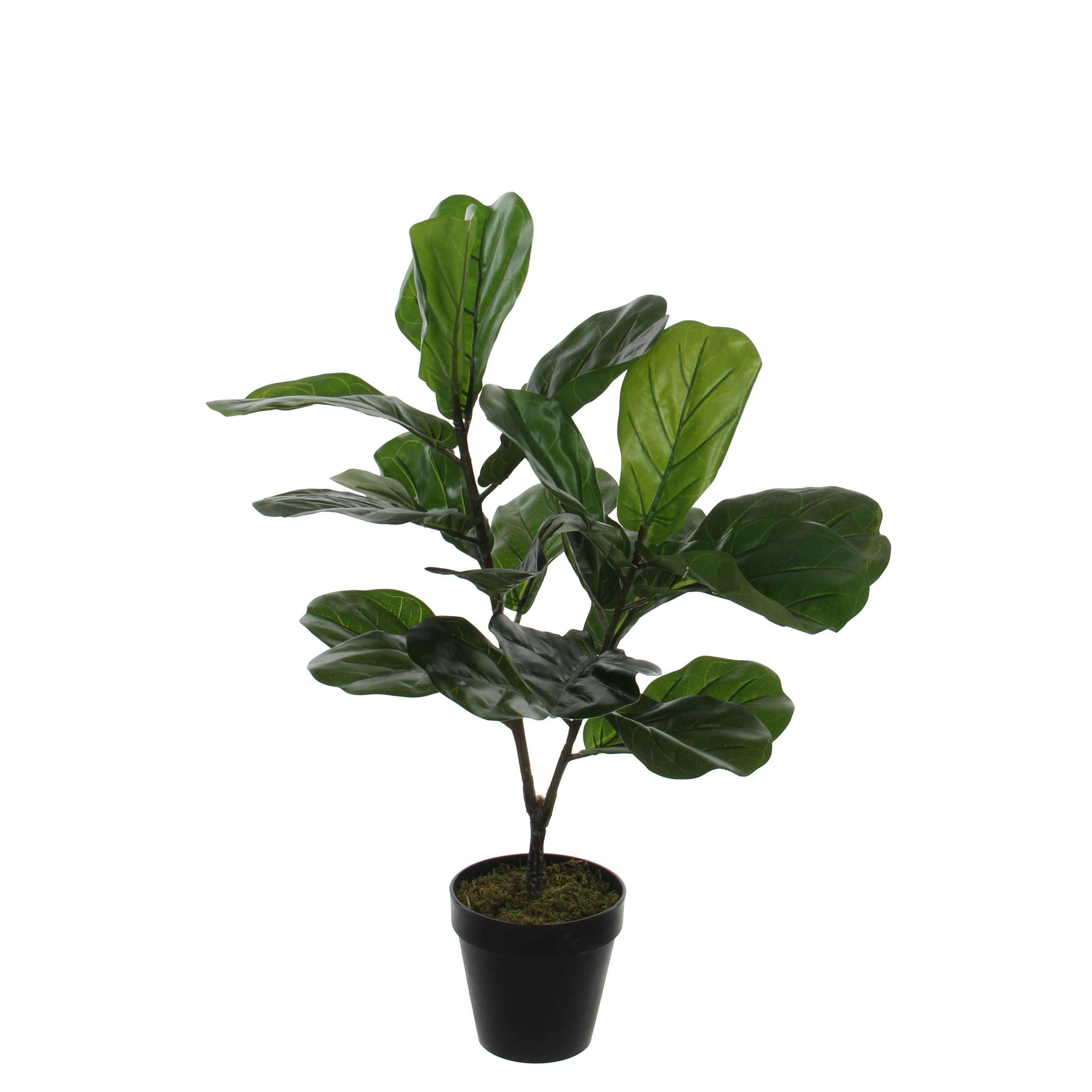 - Ficus lyrata artificielle vert H75