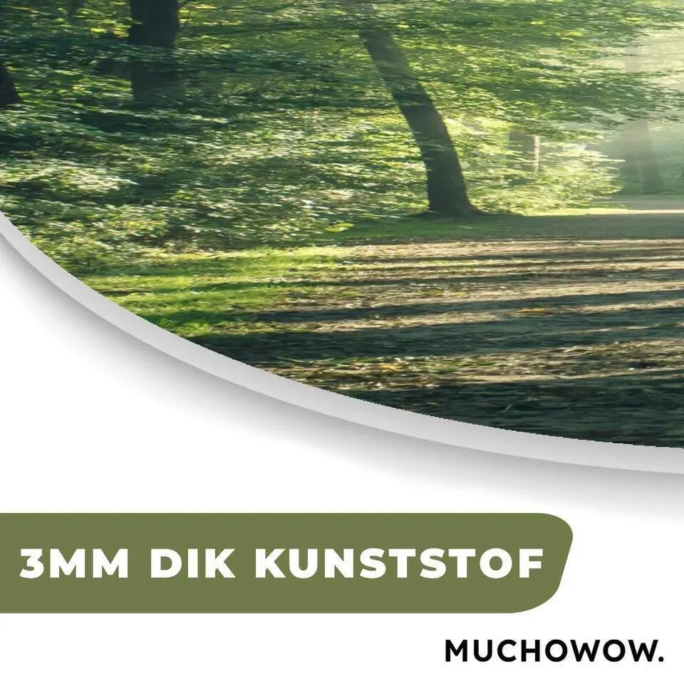 MuchoWow Wand decoratie 60x90cm Bos Pad Zon Bomen Groen
