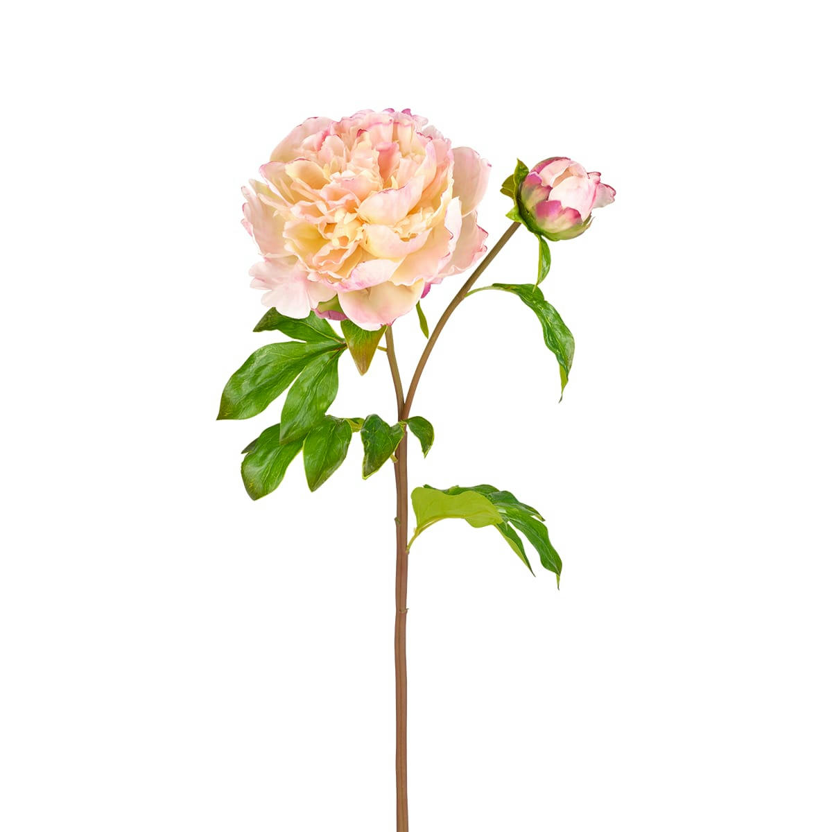 PENNY - Pivoine artificielle Penny H65cm