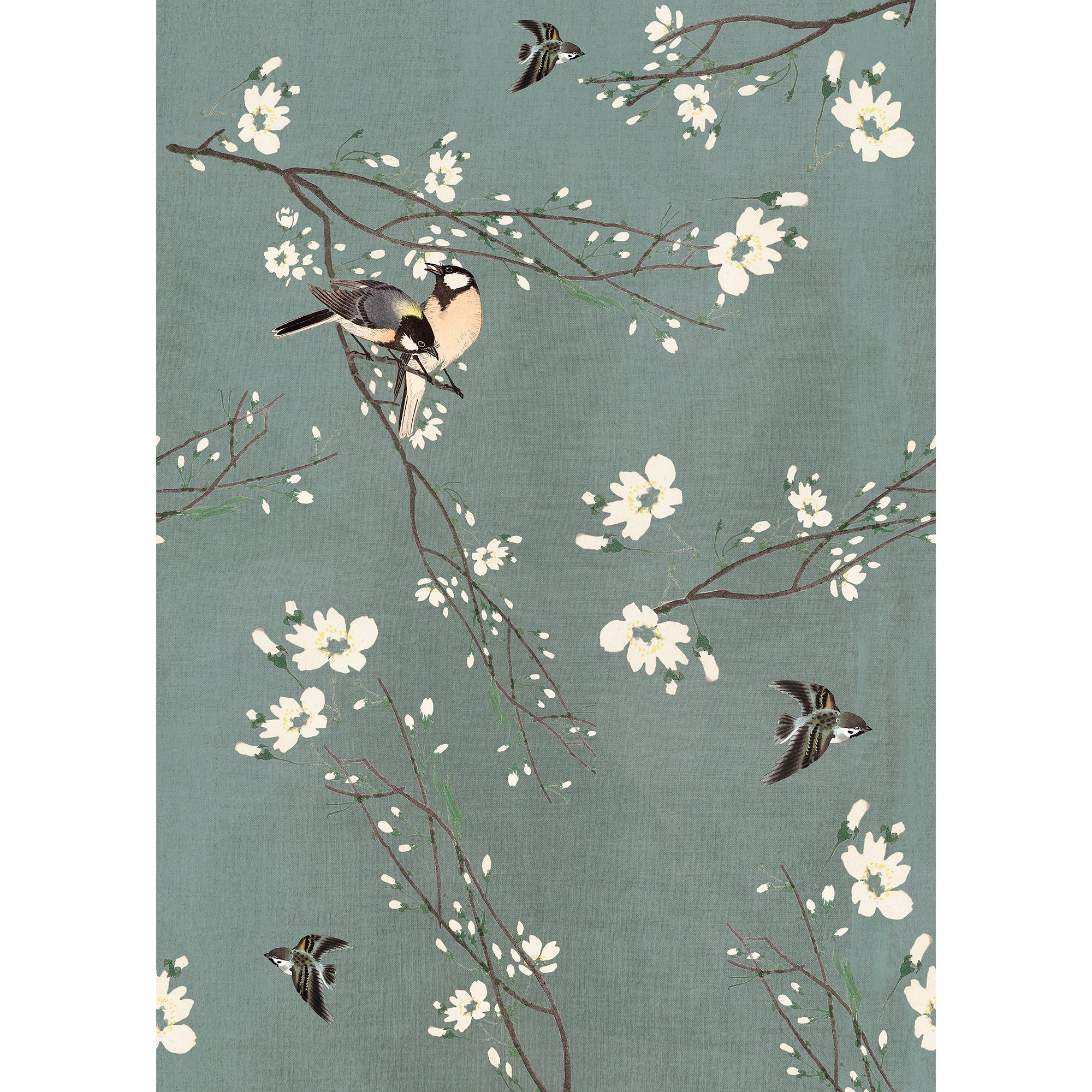 Superfresco Easy Fotobehang - Birds & Blossom - 200x280