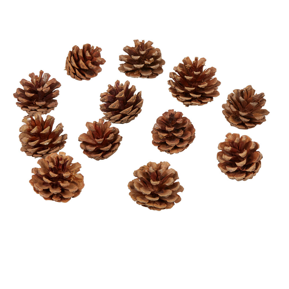 Pomme de pin naturel décoration