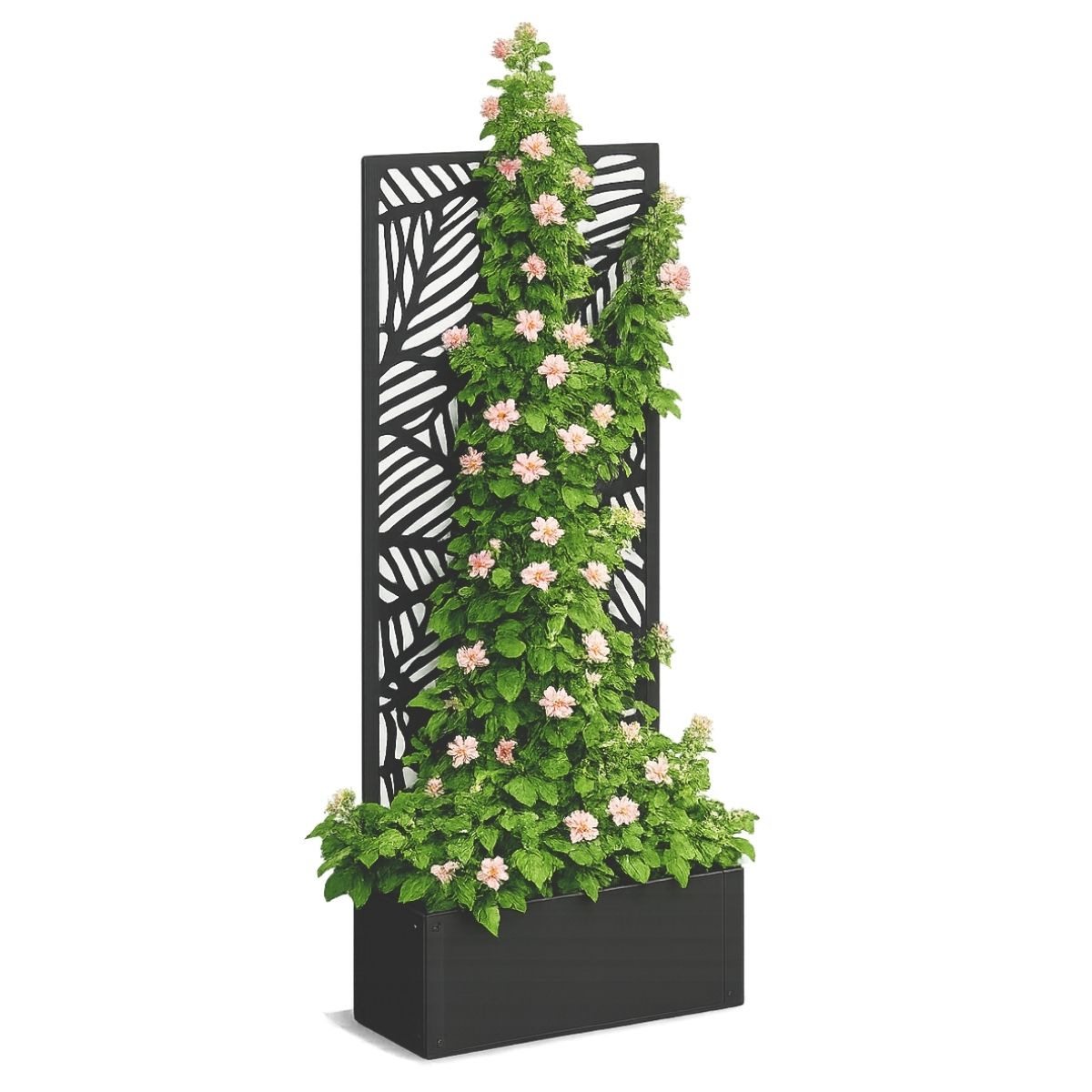 Mica Decorations Sapri Plantensteun - Plantenbak met Klimrek voor Klimplanten - Plantenstandaard Vrijstaand of tegen Muur - 57,5 x 21 x 118 cm - Zwart