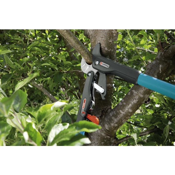 Ratschen-Astschere »Smart Cut«, türkis