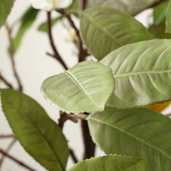SAFAVIEH Faux Lemon Potted Tree - 21.3" W x 20.5" L x 35" H