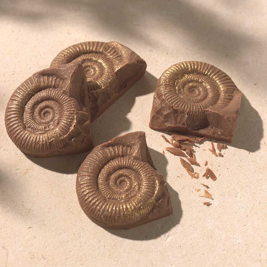 CHOC ON CHOC Chocolate Fossils