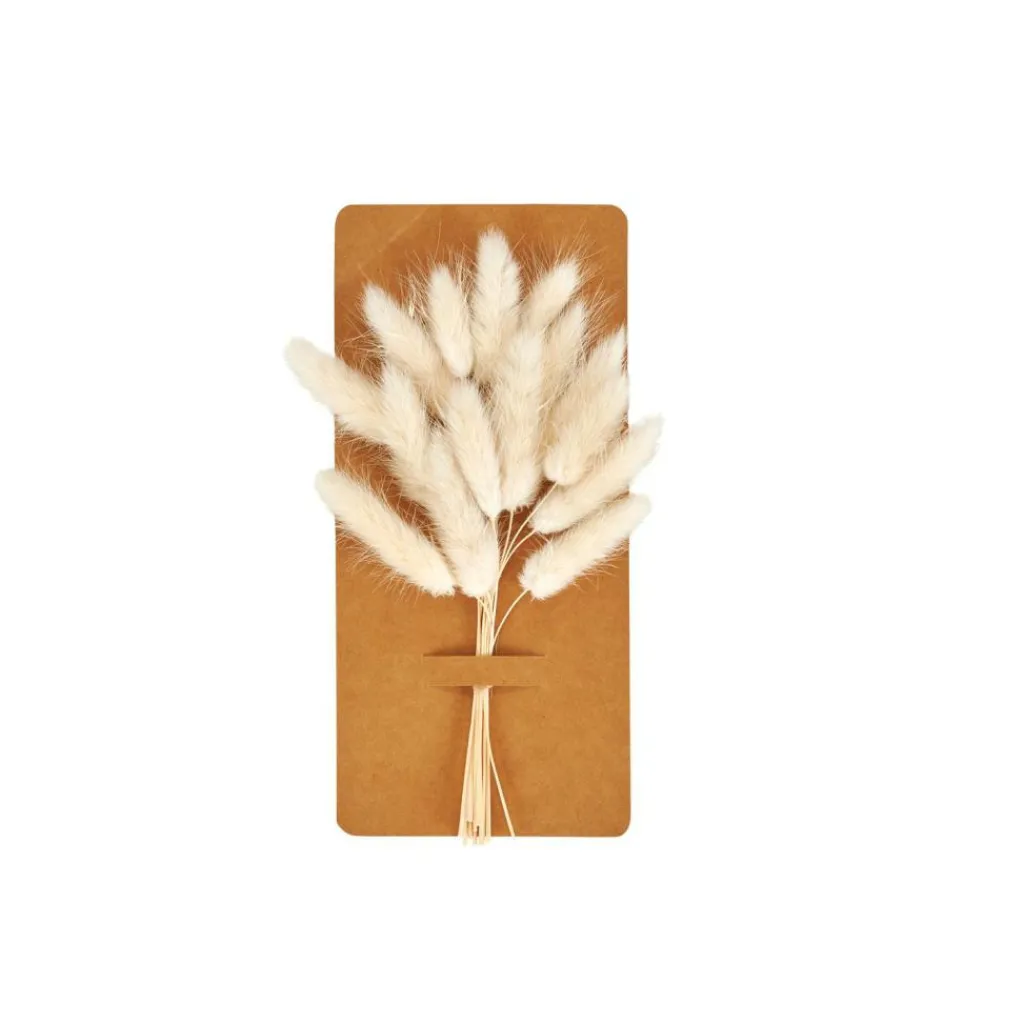 Fleurs Artificielles^CASA MINA Déco Séchée Blanc