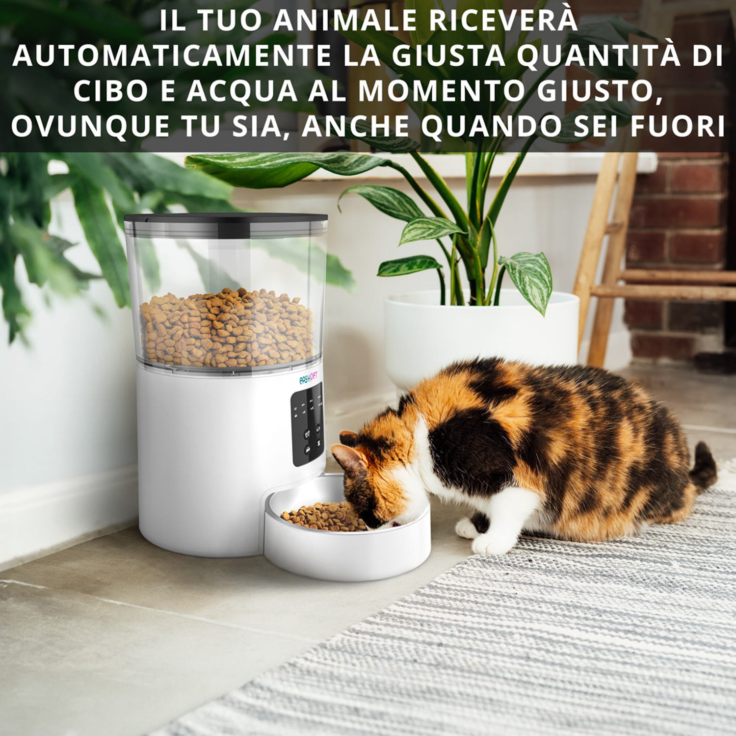 Distributore automatico cibo cani e gatti tondo Easy Pet