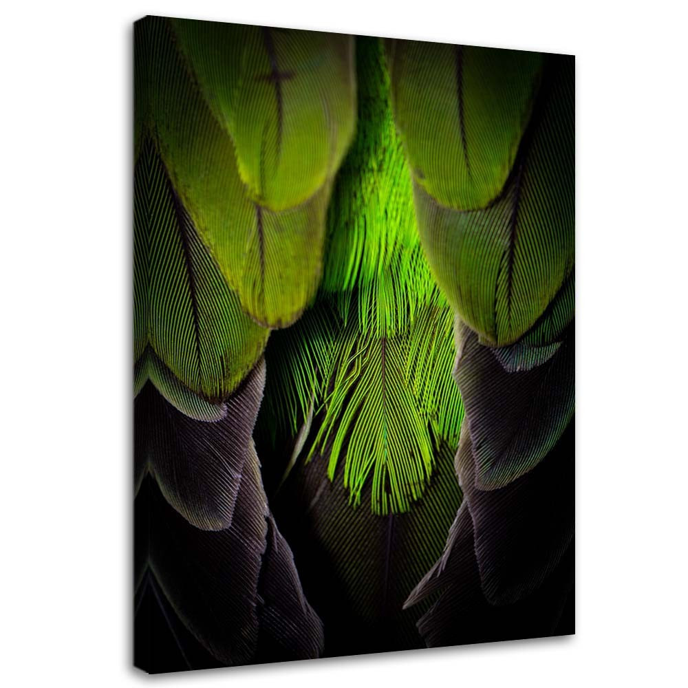 Feeby Obraz na płótnie Zielone pióra 40x60