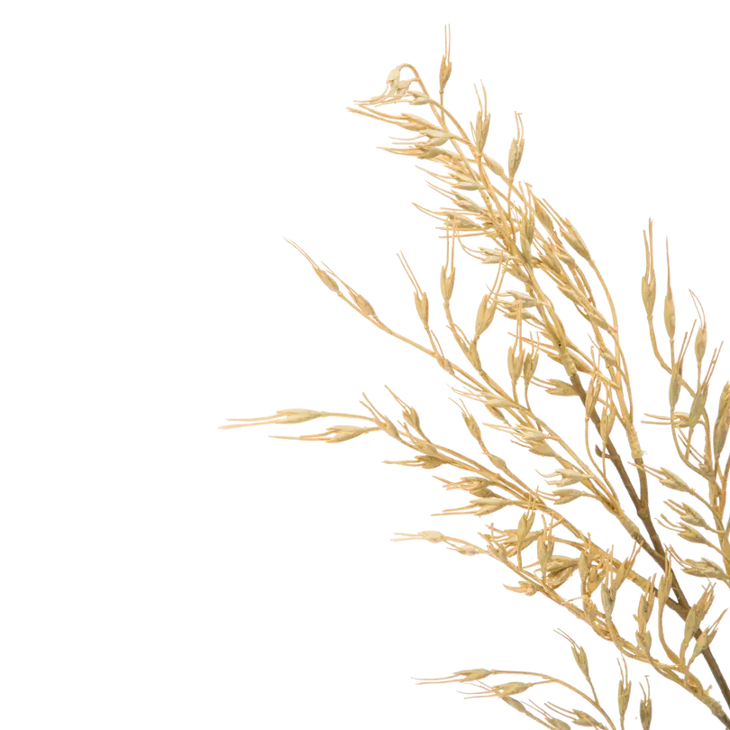 Dekozweig Dried-Grass