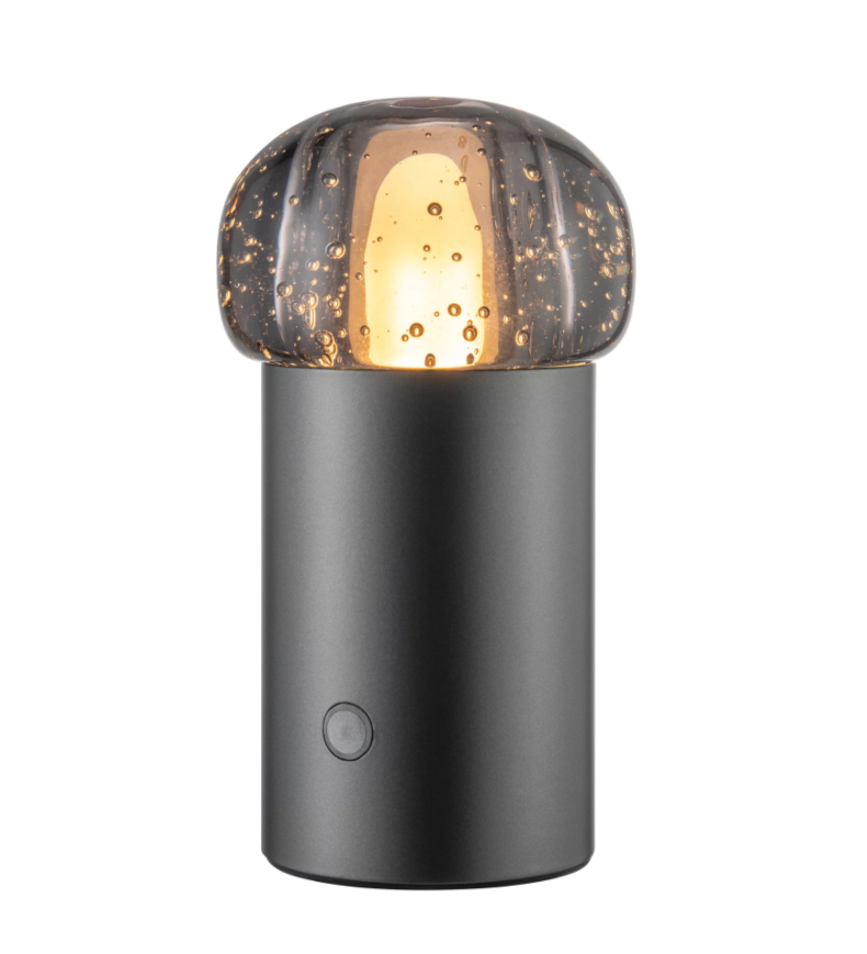 Blomus - IRIS - Mobiele Led Lamp - Metalic