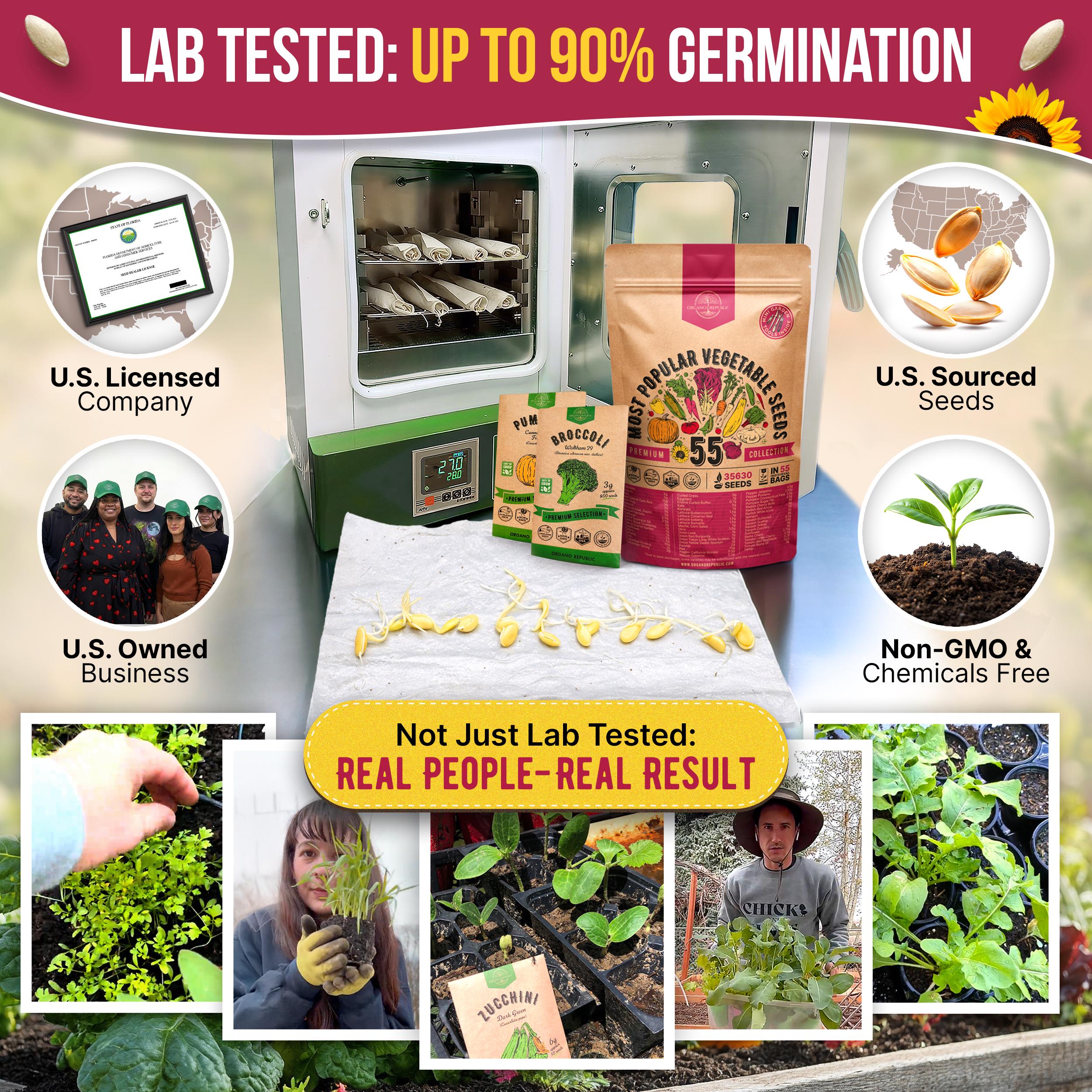 55 Vegetable Seeds Variety Pack: Non GMO Heirloom 35,600 Seeds