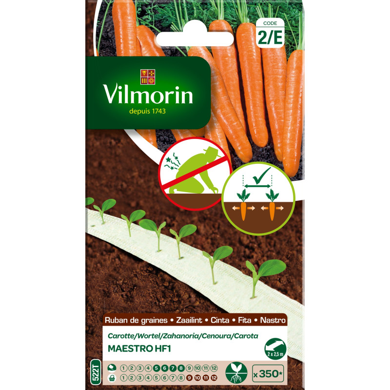 Ruban de carottes Maestro HF1 VILMORIN