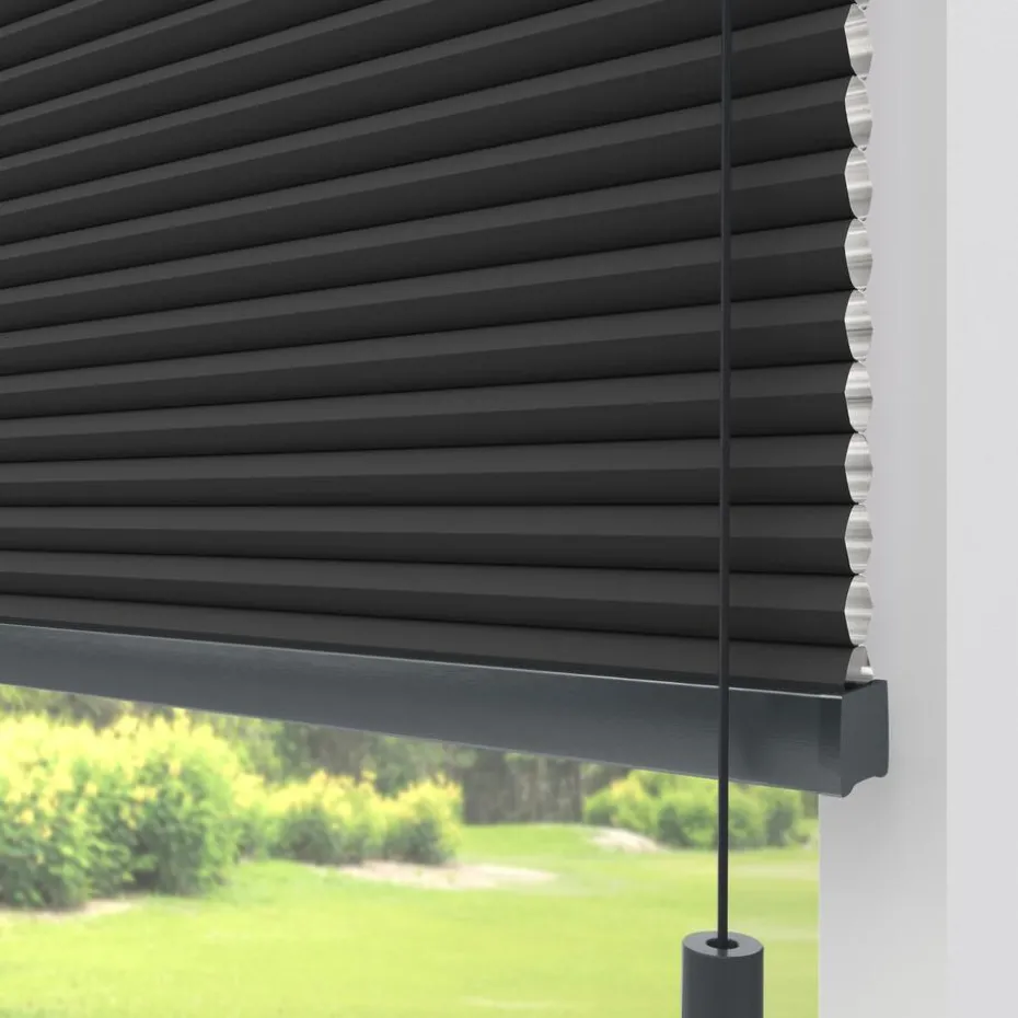 Kwantum Plisségordijnen | Isolerende Gordijnen | Fenstr Dubbel Plissé Thirza  Verduisterend Zwart