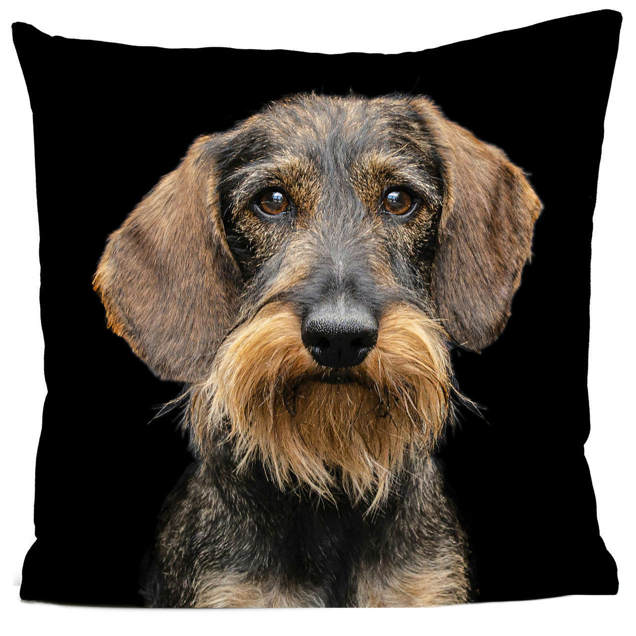 - Coussin chien teckel suédine noir 40x40cm