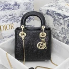 Dior The LADY D-LITE Bag