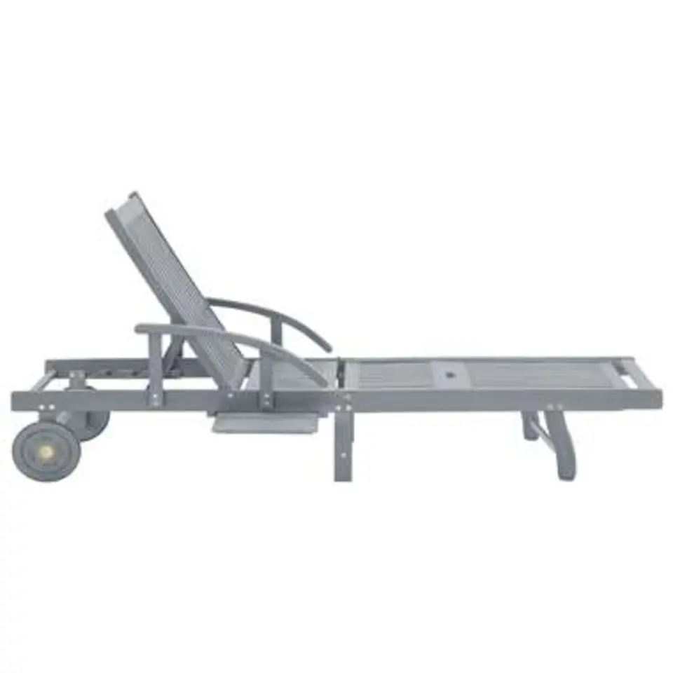 vidaXL - Zonnebed - Grijs - Hout