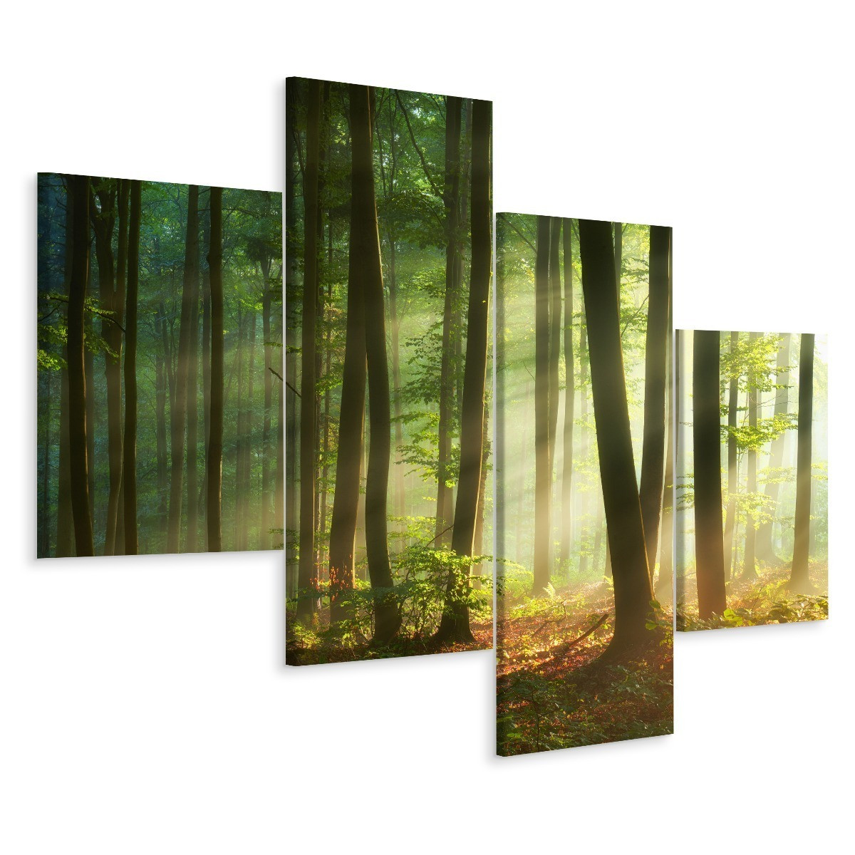 Obraz 4-Częściowy DRZEWA Słońce Pejzaż 3D 80x50cm