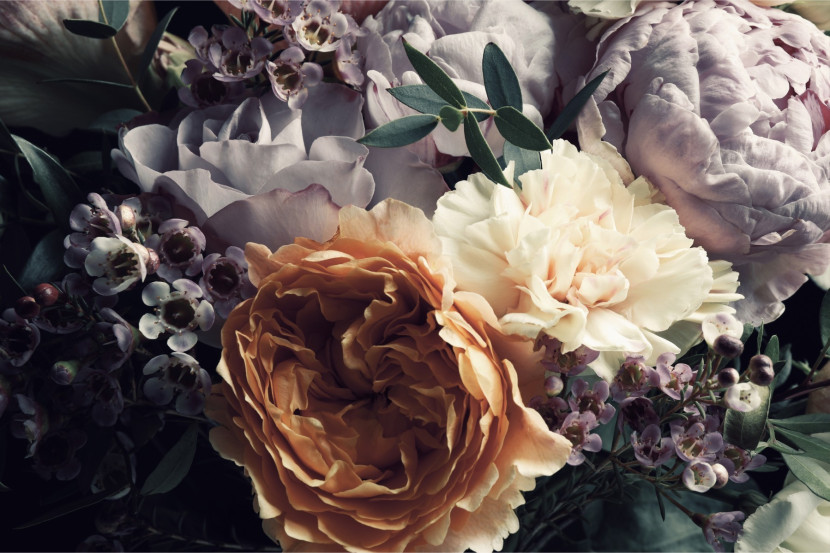 Fototapeta PASTELOWE Peonie Bukiet Kwiaty 90x60cm