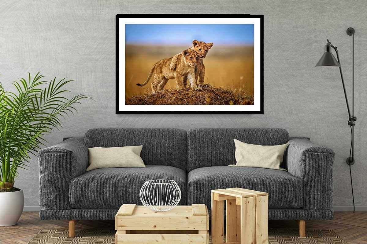 - Affiche animaux brothers for the life avec cadre noir 30x20cm