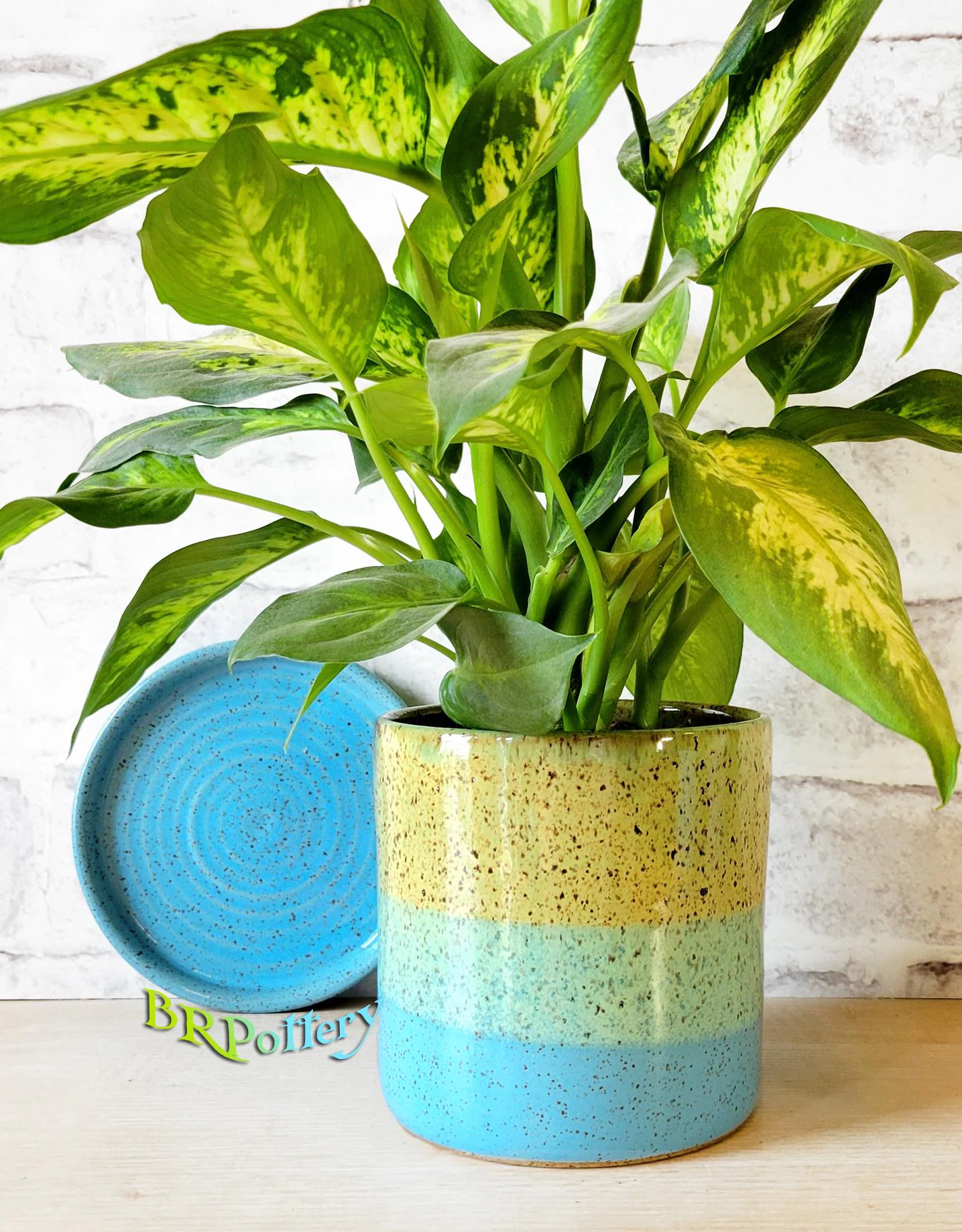 Color Blend Indoor Planters - Ceramic Planter - Pottery Planter - Flower pot with drain holes - Planter with drainage - Herb Planter