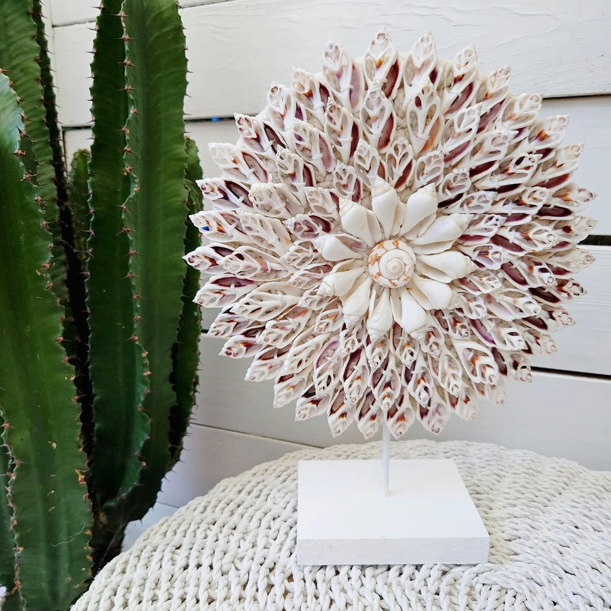 ZARA - Collier décoratif en coquillages, beige/blanc D25 cm