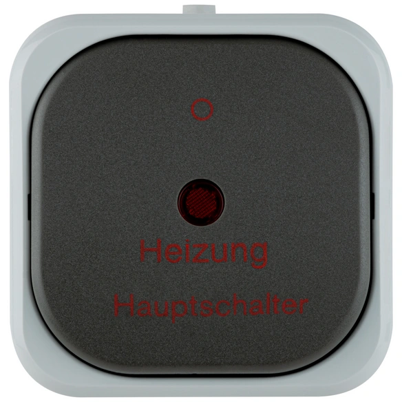 Schalter, AquaTop, 250 V, Grau